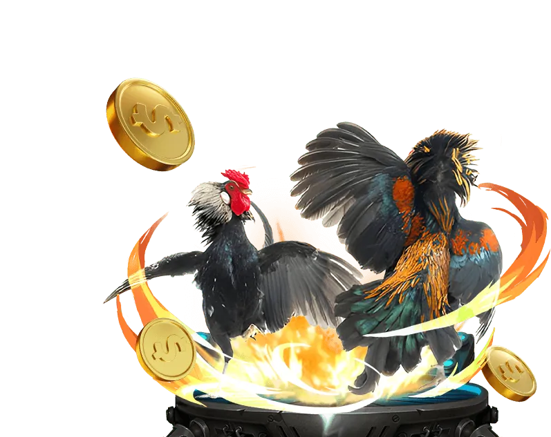 Hoàn Trả Cược Cao